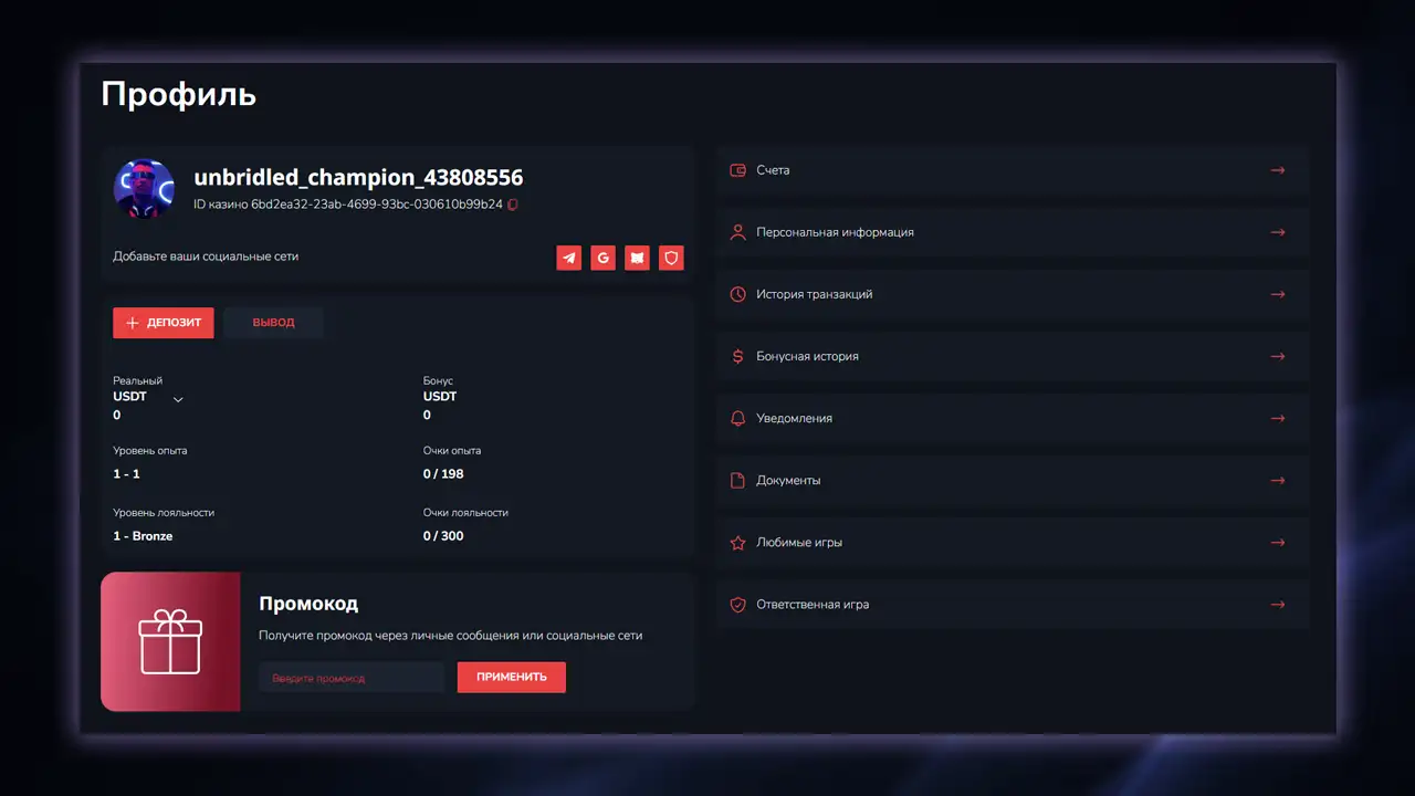 Профиль аккаунта казино Bitz